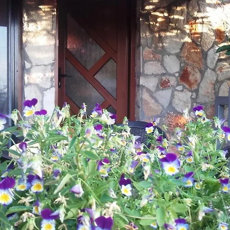 בית הארחה Sea View פולה