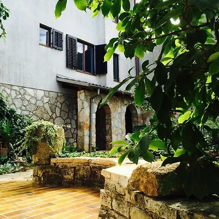 Guest house Sea View