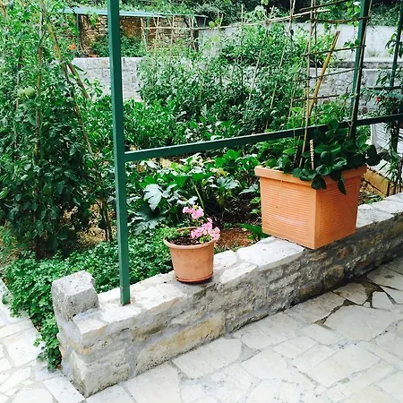 Gostinjska kuća Sea View