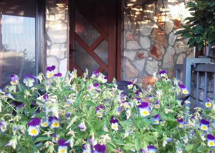 Гостевой дом Sea View Пула